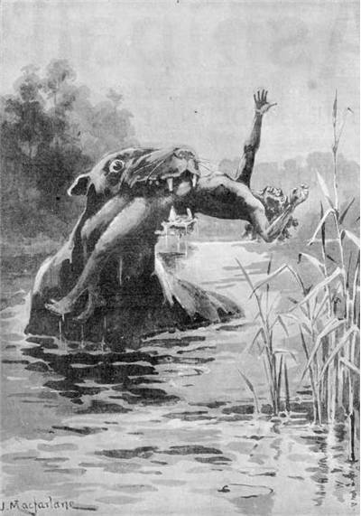 Picture Of Bunyip Creature Attack