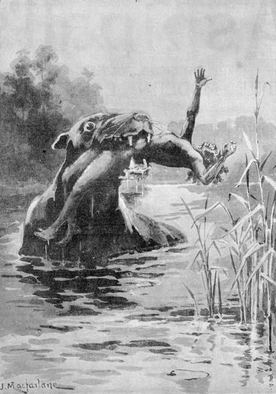Picture Of Bunyip Creature Attack