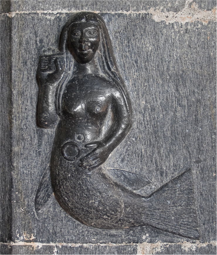 Picture Of Irish Mermaid Merrow