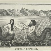 Picture Of Mermaid And Merman 1866