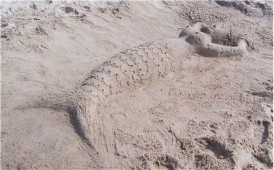 Picture Of Mermaid In Sand