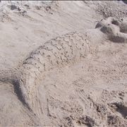 Picture Of Mermaid In Sand