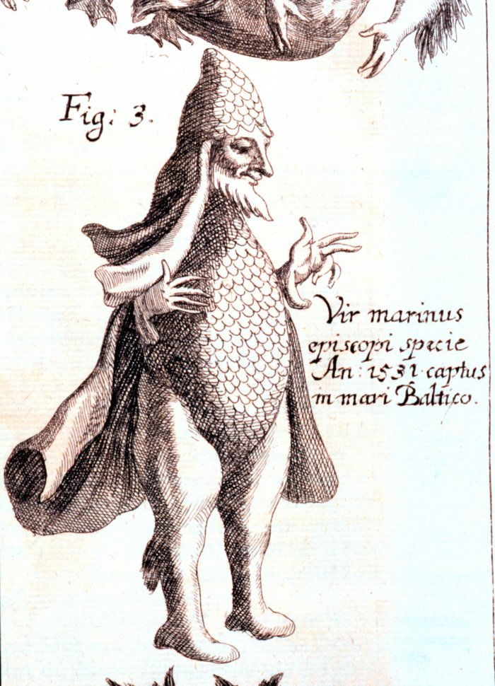 Picture Of Merman From The 17th Century